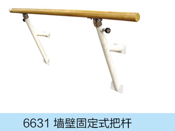 墙壁固定式把杆